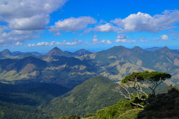 Naklejka premium montaña