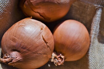 3 beautiful onions on a jute fabric