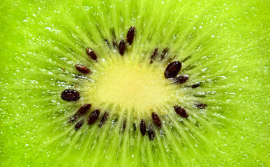 Fresh juicy fruit slice closeup. Slice of kiwi fruit on a full frame.