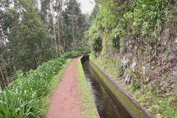 Madère, la levada central da Janela