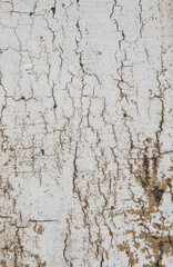 Textura de madera vieja para fondos