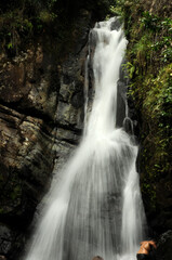 Waterfall in slow motion among greenery in El Yunque National Forest in Puerto Rico.