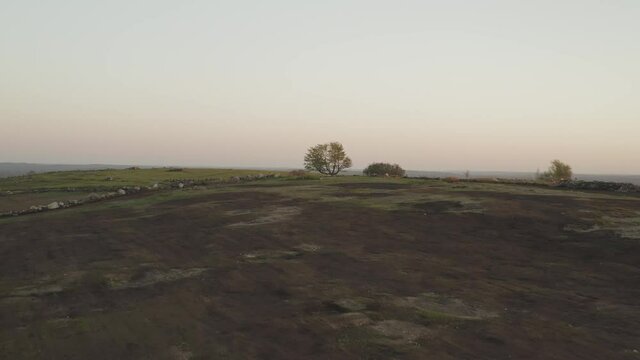 Sunset over Clarry Hill, Maine aerial towards single tree