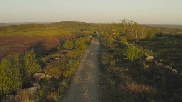 Old country lane with lush green vegetation aerial sunset 
