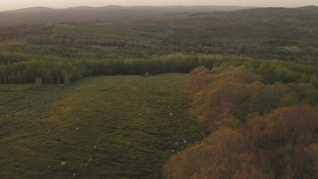 Lush green countryside bursting with growth Aerial sunset landscape 