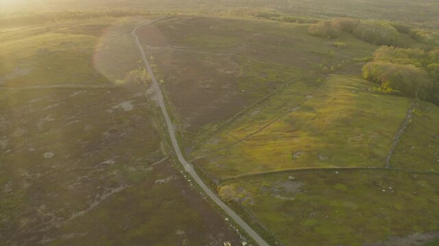 Aerial reveal lush green countryside during golden hour