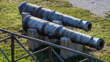 Cannoni Napoleonici in bronzo esposti in un parco