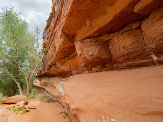 Beautiful landscape around the Hickman Bridge Trail of Capitol Reef National Park