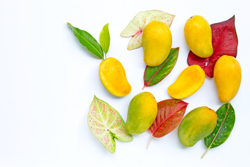 Tropical fruit, Mango with colorful leaves on white background.