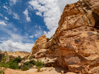 Beautiful landscape around the Hickman Bridge Trail of Capitol Reef National Park