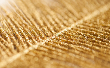 Golden feather close-up, bokeh defocus
