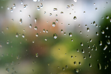 raindrops on the window