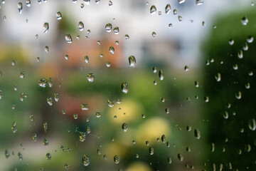 raindrops on the window