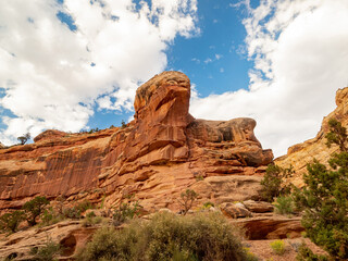 Fototapeta premium Beautiful landsacpe along the Capitol Gorge Road of Capitol Reef National Park