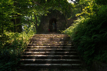 Obraz premium stairs in the forest to the sanctuary and beams of light