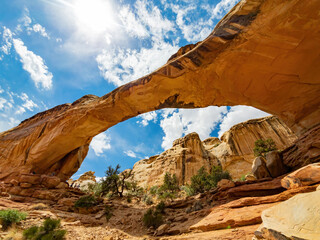 Beautiful landscape around the Hickman Bridge Trail of Capitol Reef National Park