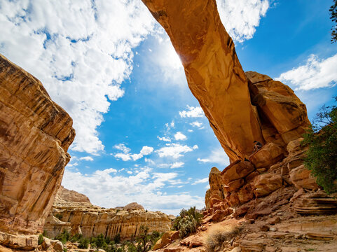 Hickman Bilder Durchsuchen 688 Archivfotos, und Videos