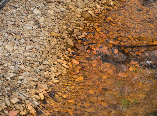 Riachuelo anaranjado