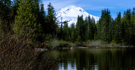 Fototapeta na wymiar MIrror Lake, reflected Mt. Hood