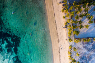 Aerial abstract view taken directly above of a white sand beach with coconut trees facing a lagoon and coral reef in the small island of Rote in the province in Indonesia.