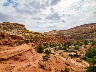 Beautiful landscape along the Cassidy Arch Trail of Capitol Reef National Park