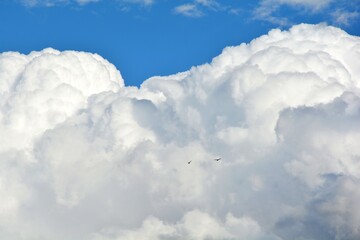 blue sky with clouds and two birds flying away