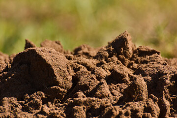 Damp Fertile Sandy Soil Dirt Heap, Mossel Bay, South Africa