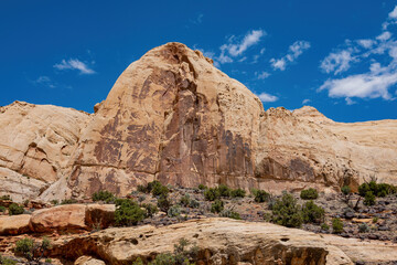 Fototapeta premium Beautiful landscape around the Hickman Bridge Trail of Capitol Reef National Park