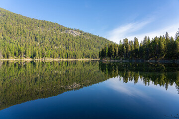 reflection of trees in lake