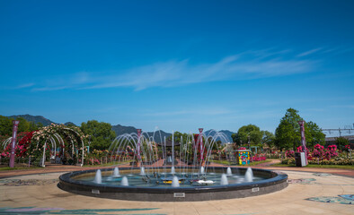 Fototapeta premium 장미 축제장의 아름다운 풍경