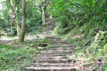 Chemin de randonnée avec escaliers à Taipei, Taiwan
