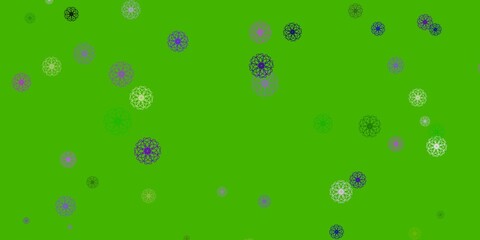 Light Pink, Green vector natural layout with flowers.