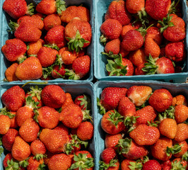 fresh strawberries in a box