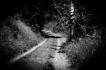 black and white photo of a road that is lost in the darkness of the countryside