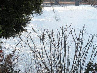 Obraz premium 日本の田舎の風景 1月 公園の水辺 午後の日差し