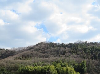 日本の田舎の風景　1月　真冬の山の木々