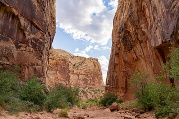 Beautiful landsacpe along the Pioneer Register of Capitol Reef National Park