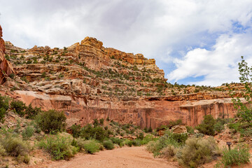 Fototapeta premium Beautiful landscape along the Cassidy Arch Trail of Capitol Reef National Park