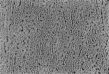 Tree Bark Texture Base Material [Albedo]
This mage texture is a set of metrics calculated in image...