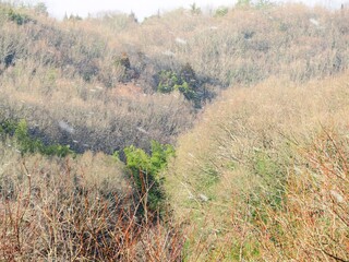 日本の田舎の風景　1月　雪が舞う日