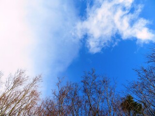 日本の田舎の風景　1月　雪雲と青空