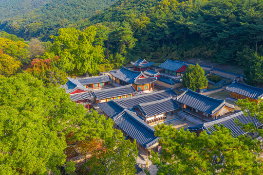 Aerial view of Oksan Seowon Confucian academy in Republic of Korea