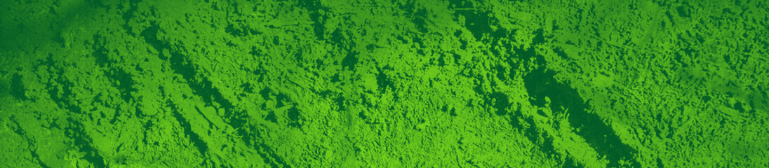 abstract green bright color background for design