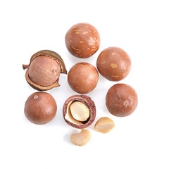 macadamia nuts isolated on white background