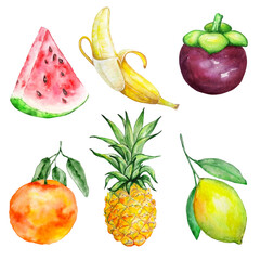 watercolor exotic bright tropical fruit