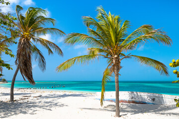 Fototapeta na wymiar A beautiful day on the paradise beach in Dos Mosquises Island - Caribbean - Archipelago of Los Roques - Venezuela