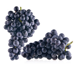 Bunch of black grapes isolated on white background