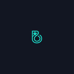Letter B Star logo icon template design in Vector illustration