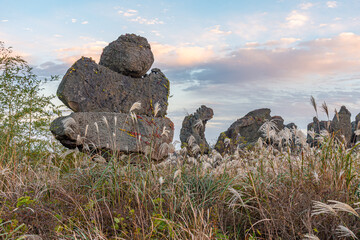 Dongjasok - stone guardians at Jeju stone park, republic of Korea