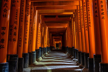 Fushimi Inari Night